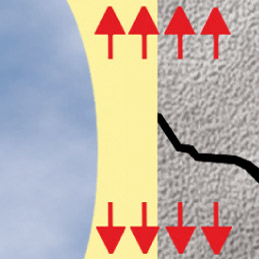 elasticita